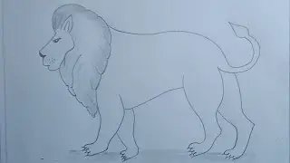 Wild animal drawing/How to draw a lion step by step//Lion Drawing #pencil drawing easy #drawing