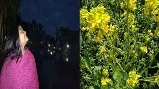Tuesday vlog/daily routine/Indian blogger pooja