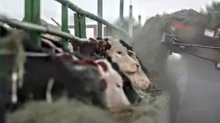 Feeding the Future: Rethinking Farming