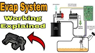 EVAP purge Control System Working Explained | DTC P0411, P0440, P0441,P0446,P0455 |bbpktools