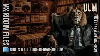 MX Riddim Files Vol. 13 | No No No Riddim & Sleng Teng Riddim (Reggae & Dancehall Classics)