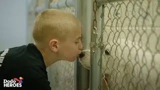 This Kid's Goal Is To Get Every Single Shelter Dog in the U.S. Adopted | The Dodo Heroes Season 2