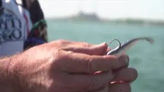 Csf 31 02 YouTube Lunker City Shaker for trophy Walleye.