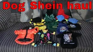 Shein dog clothes haul