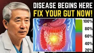 Heal Your GUT After 60: Japanese Secrets For DIGESTION & LONGEVITY