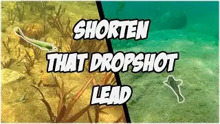 SHORTEN THAT DROPSHOT LEAD - Munch Factor