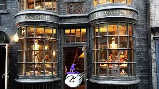 I Took The Harry Potter Wizarding World Wand Sorting Quiz