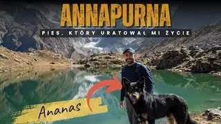 Nepal - Najlepszy towarzysz dokoła Annapurny, jakiego nie planowałem