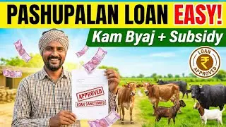 Animal Husbandry Loan Scheme 2026: Benefits, Eligibility, Documents, Online Application, Subsidy