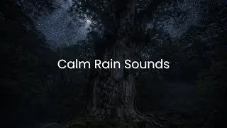 2 Hours Rain Sounds Only for Sleep | No Music No Vocals