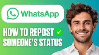How to Repost Someone's Status on WhatsApp (New Method 2026)