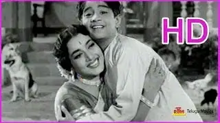 Mamidi Komma Malli Malli - Telugu Evergreen Song - Ramu - NTR,Jamuna,S Varalakshmi  (HD)