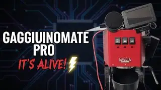 ​Gaggiuino Running on Gaggimate Wires? Meet the Gaggiuinomate PRO