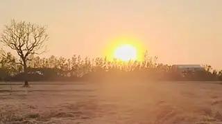 Thuyết Pháp : Pháp Cú 398 Câu Chuyện Về Hai Vị Bà La Môn ( 14/1/2026 ).