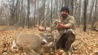 Ghosts of October #5 - Pre-rut Success!! Minnesota Big Woods - Bowhunting Vlog
