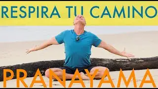 🇪🇸 RESPIRA TU CAMINO / KAPALABHATI BASTRIKA PRANAYAMA / RÍNDETE A QUIEN ERES, NO PUEDES ESCAPAR