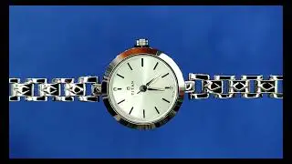 Titan Women's Watch 2598sm01