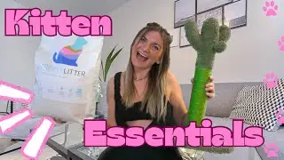 Kitten ESSENTIALS haul!