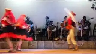 Huallatas - Wallatas, Danza T&iacute;pica, Folklore Peruano