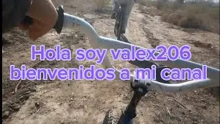 biciblog*VALEX206