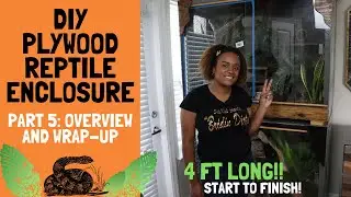 DIY 4FT Reptile Enclosure | Part 5 Wrap-Up