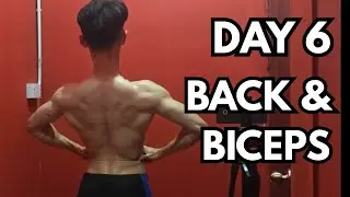 DAY 6 TRAIN BACK & BICEPS
