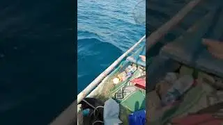 asiknya memancing hedlain.... straik kue GT