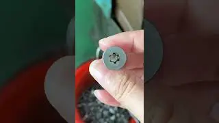 Stainless Steel Ultra Low Profile Head Torx Socket Cap Screw