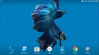 Betta Fish 3D Live Wallpaper