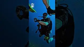 mortal Kombat in diving @diving_david#diving #fun
