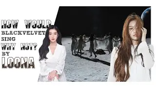 How would BLACKVELVET sing Why Not by LOONA | with line distribution
