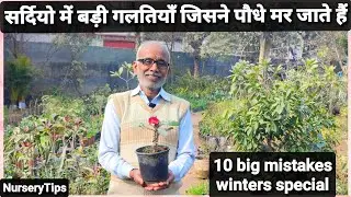 सर्दियो में 10 बड़ी गलतियाँ जिसने पौधे मर जाते हैं | 10 big mistakes in the garden | NurseryTips |