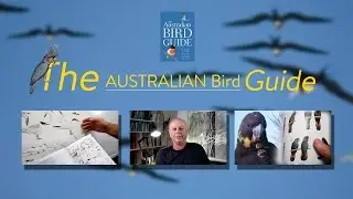 The Australian Bird Guide - interview with artists and authors