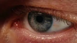 The Invisible Layer Between Your Retina That Changed Vision Science
