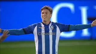 The Best of Adam Reach