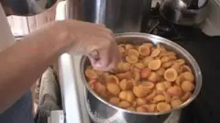 Canning Apricots Part 1