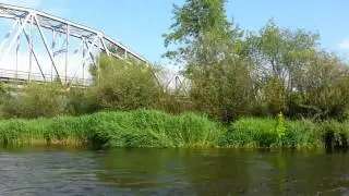 Warka. Niedzielne pływanie po Pilicy.