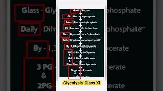 respiration in plants class 11 | glycolysis cycle in hindi #shorts