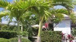 Best Vacation Rental in Florida-Greatgetaways.us.com