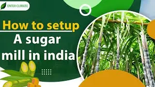 How to Setup a Sugar Mill in India? | Start a Sugarcane Processing Plant | Enterclimate