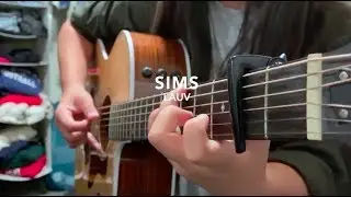 Sims - Lauv - Fingerstyle Guitar Cover (+TABS)