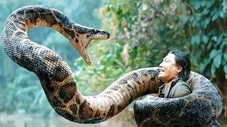 When Nature Fights Back &mdash; The Legend of the Giant Anaconda 😱