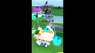Day 13 of trying to roll perlica in fortunes end
