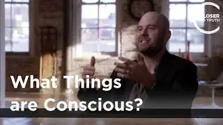 Alva Noe - What Things are Conscious?