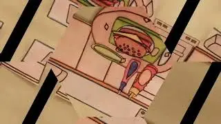 burger and sandwiches ll stop motion animation paper #cooking  #stopmotionpaper #seegichannel