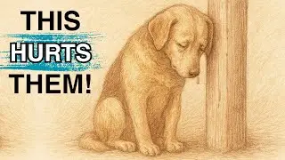 Поведение, которое задевает чувства вашей собаки, а вы даже не осознаёте этого!