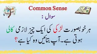 Majeedar Riddles || Paheliyan In Urdu Hindi || Common Sense Questions || Riddles With Answers Ep#10