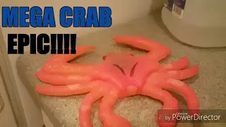 MEGA CRAB REVIEW