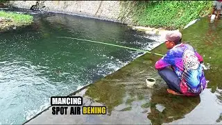 Spot Air Jernih !! Ikan ini Yang saya dapat,saat mancing di air jernih