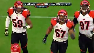 Bengals vs Texans 2014 Week 12